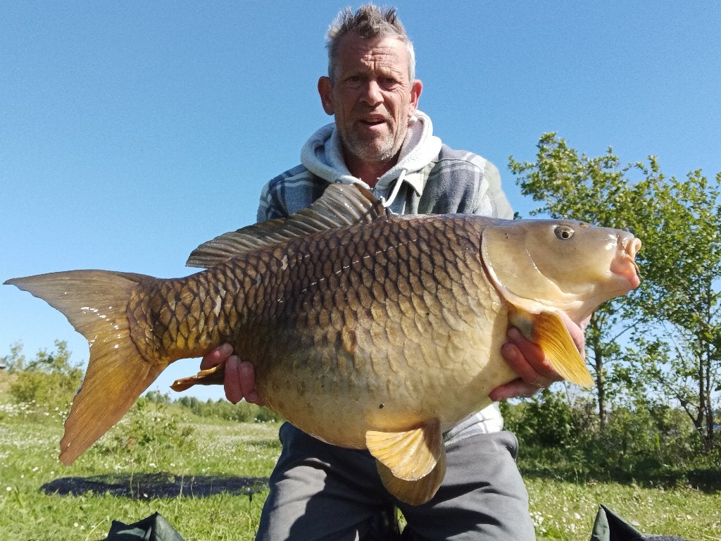 vissen op maas karpers, Ophalen, Nieuw, Overige typen