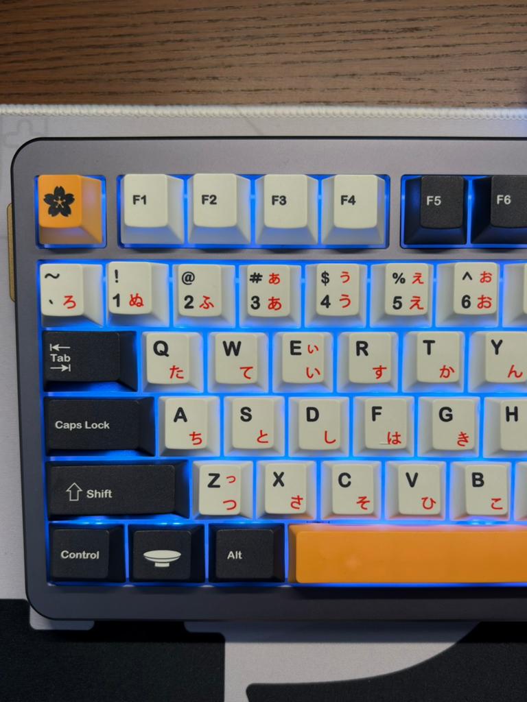 Wooting 80HE – KBDfans GT-80 Case | GMK Matsu | WS Dash HE, Computers en Software, Toetsenborden, Ophalen, Gaming toetsenbord