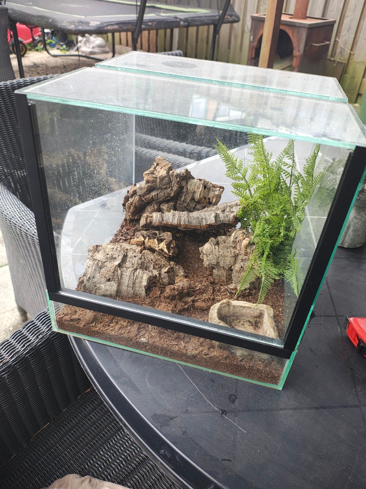 klein terrarium / bak, Dieren en Toebehoren, Reptielen en Amfibieën | Toebehoren, Ophalen of Verzenden