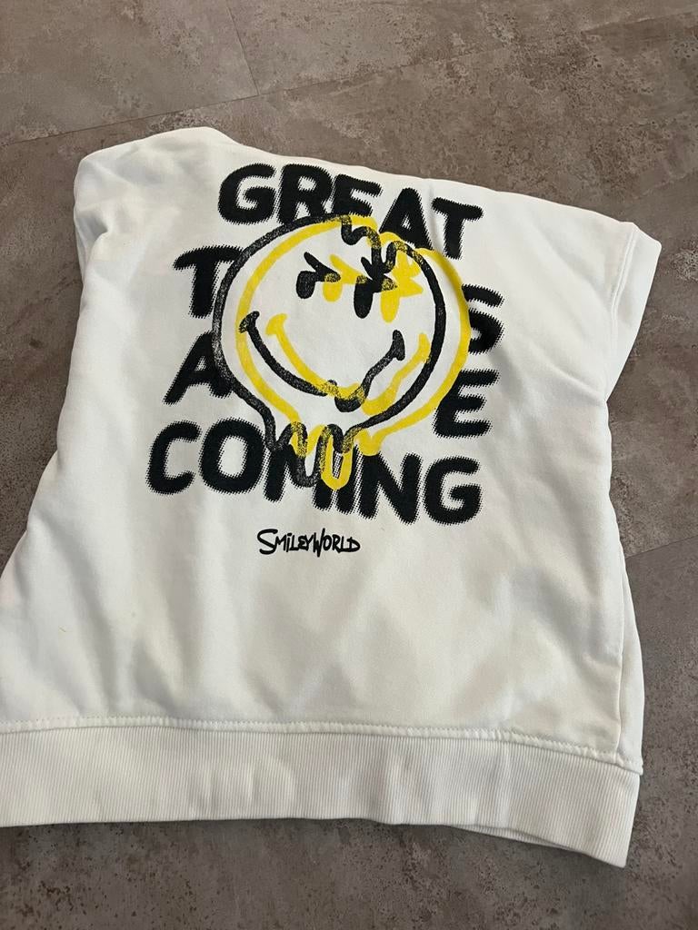 ZARA X SMILEY WORLD sweater met capuchon 140 zgan, Ophalen of Verzenden, Zo goed als nieuw, Jongen, Trui of Vest
