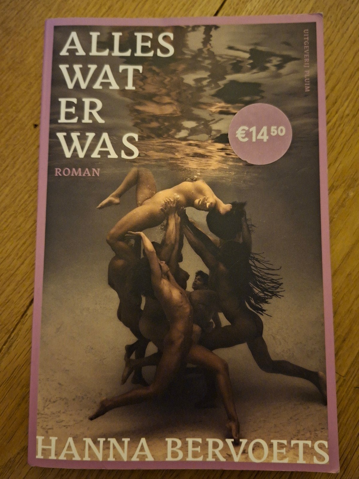 Alles wat er was - Hanna Bervoets (Roman), Ophalen, Zo goed als nieuw, Hanna Bervoets, Nederland