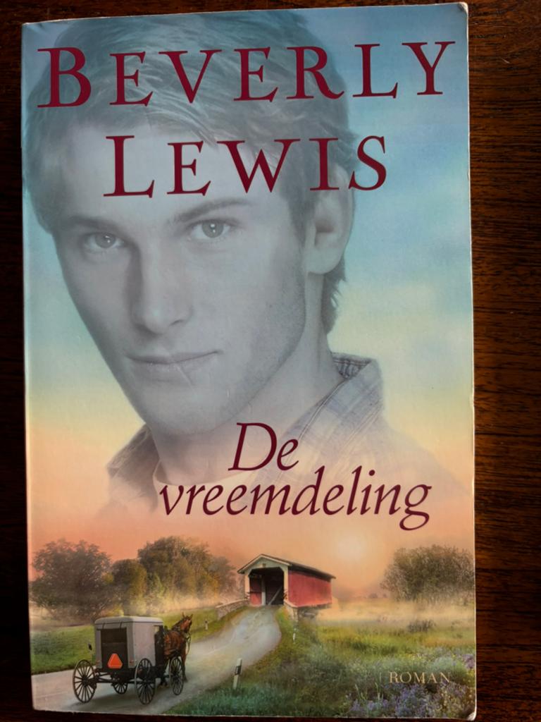 Beverly Lewis - De vreemdeling, Ophalen of Verzenden, Zo goed als nieuw, Beverly Lewis