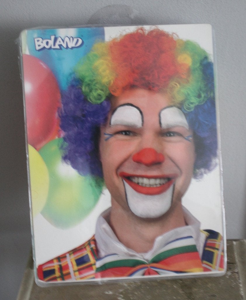 nieuw in verpakking clowns pruik, Ophalen of Verzenden, Nieuw, One size fits all, Hoed