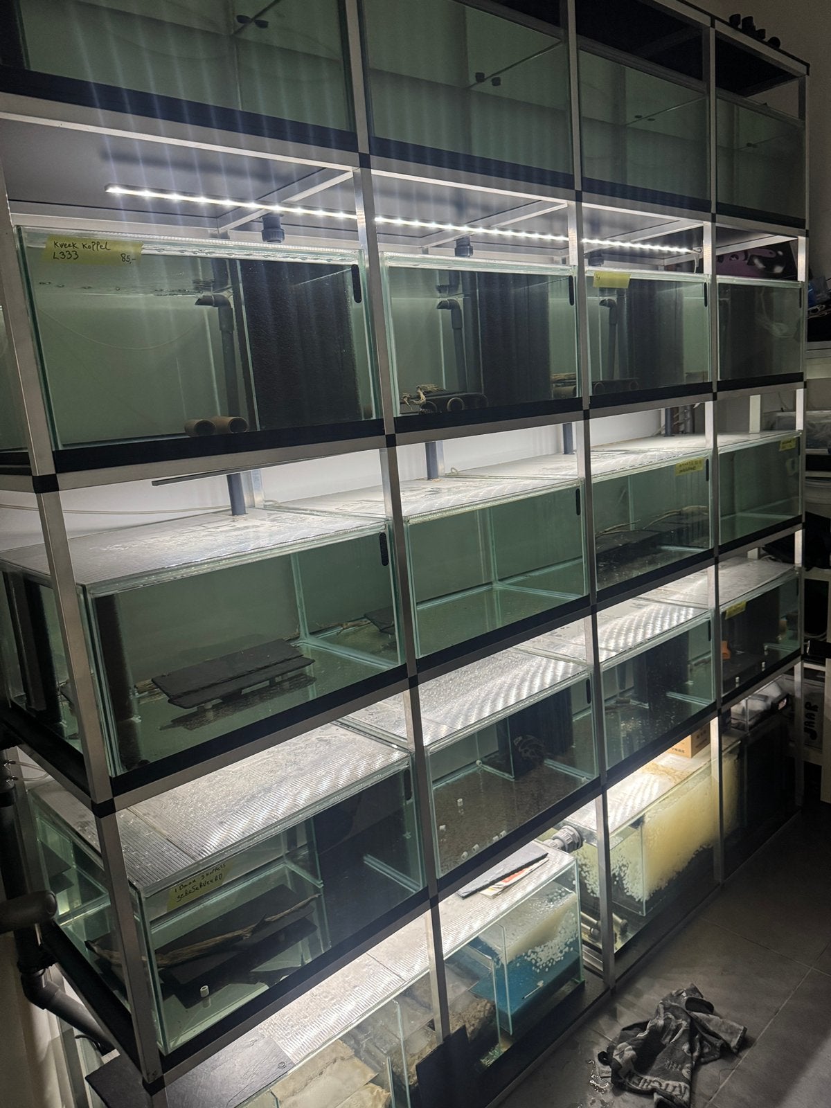 ✅Aquarium stelling kweekstelling geautomatiseert✅, Ophalen, Zo goed als nieuw, Leeg aquarium