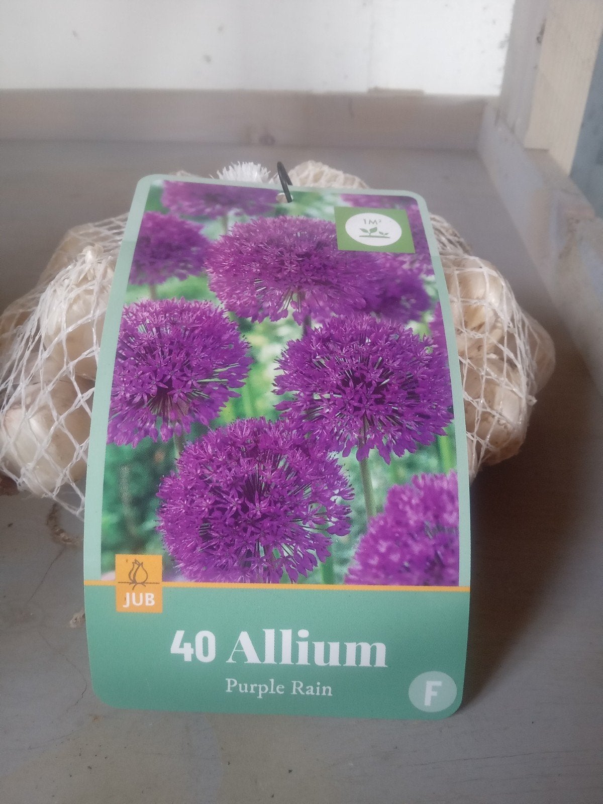 40 Allium 'Purple Rain' Bloembollen, Ophalen of Verzenden, Najaar, Volle zon, Bloembol