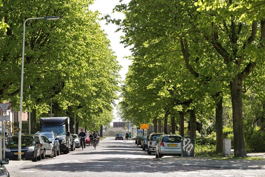 NIEUW! Woonruimte te huur Van Oldenbarneveldtstraat, Arnhem