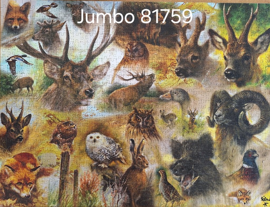 Jumbo Puzzel 81759, Ophalen, 500 t/m 1500 stukjes, Zo goed als nieuw, Legpuzzel