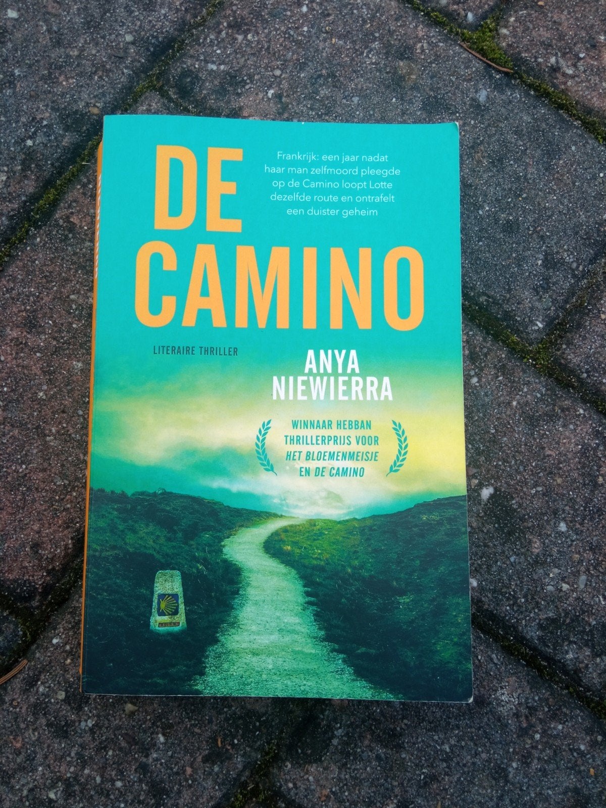 De Camino, Ophalen of Verzenden, Gelezen