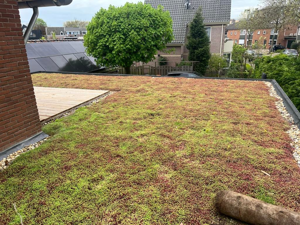 Sedum trays, sedum matten en toebehoren voor Groendak, Ophalen of Verzenden, Zo goed als nieuw