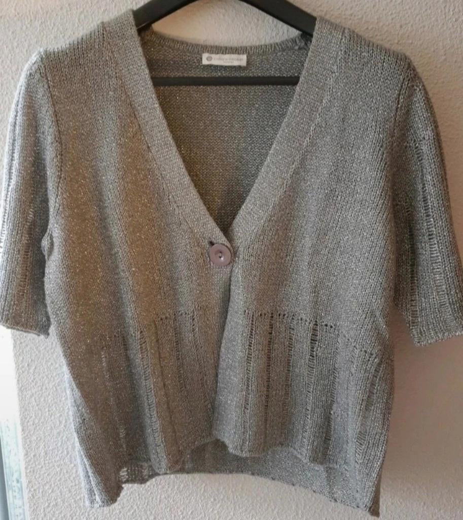 Christa Probst vestje., Verzenden, Maat 42/44 (L), Nieuw, Grijs