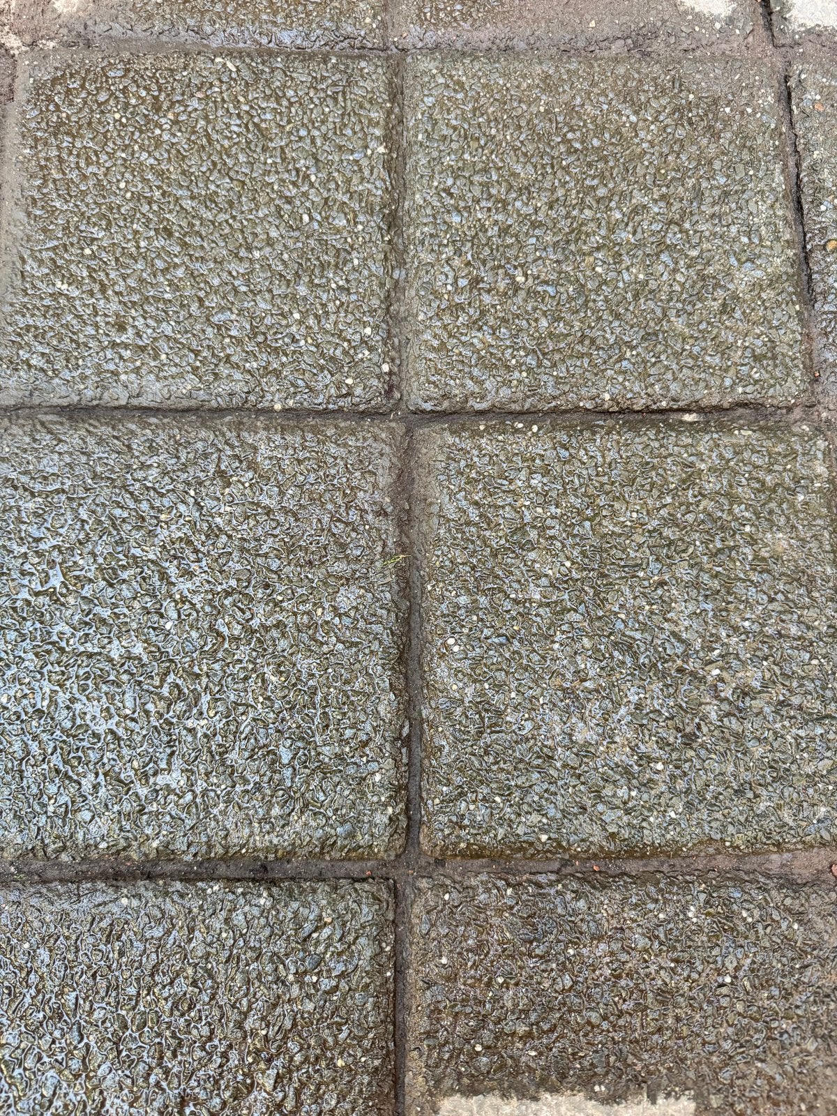 Gebruikte terrastegels 20x20x8 cm, ca. 25m2 op pallets, Ophalen, Gebruikt, 10 m² of meer, Beton