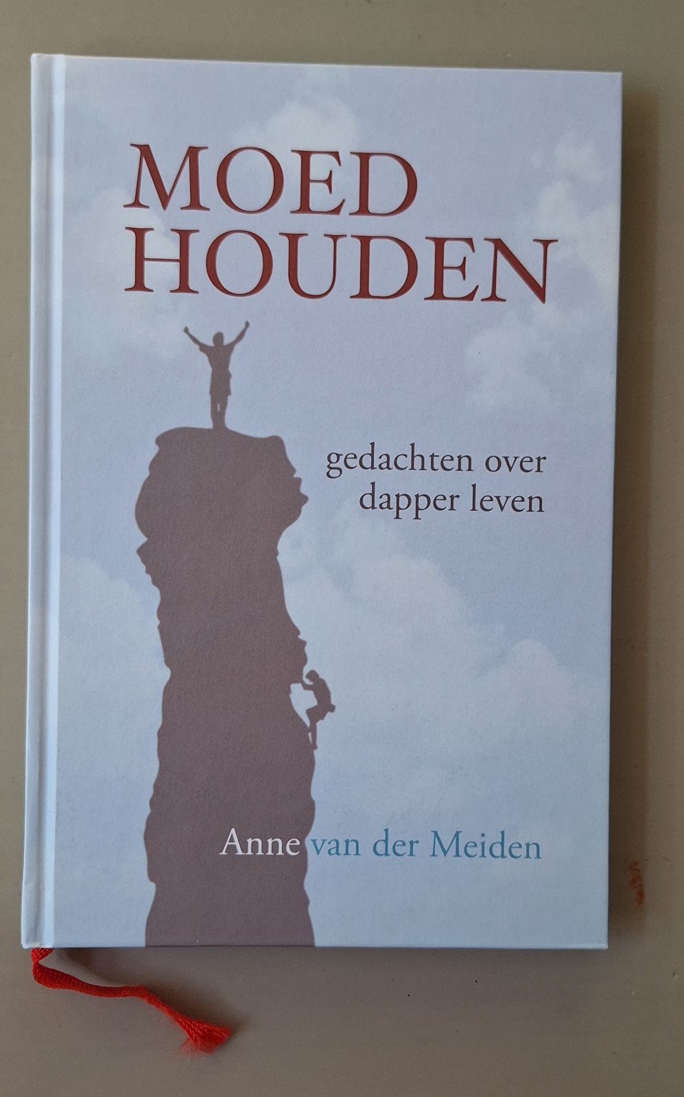 Anne van der Meiden - Moed houden, Boeken, Ophalen of Verzenden, Zo goed als nieuw, Anne van der Meiden