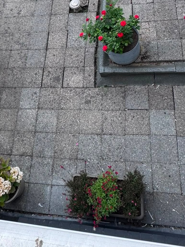 Terras tegels (+/- 200), Ophalen, Zo goed als nieuw, Beton, Terrastegels