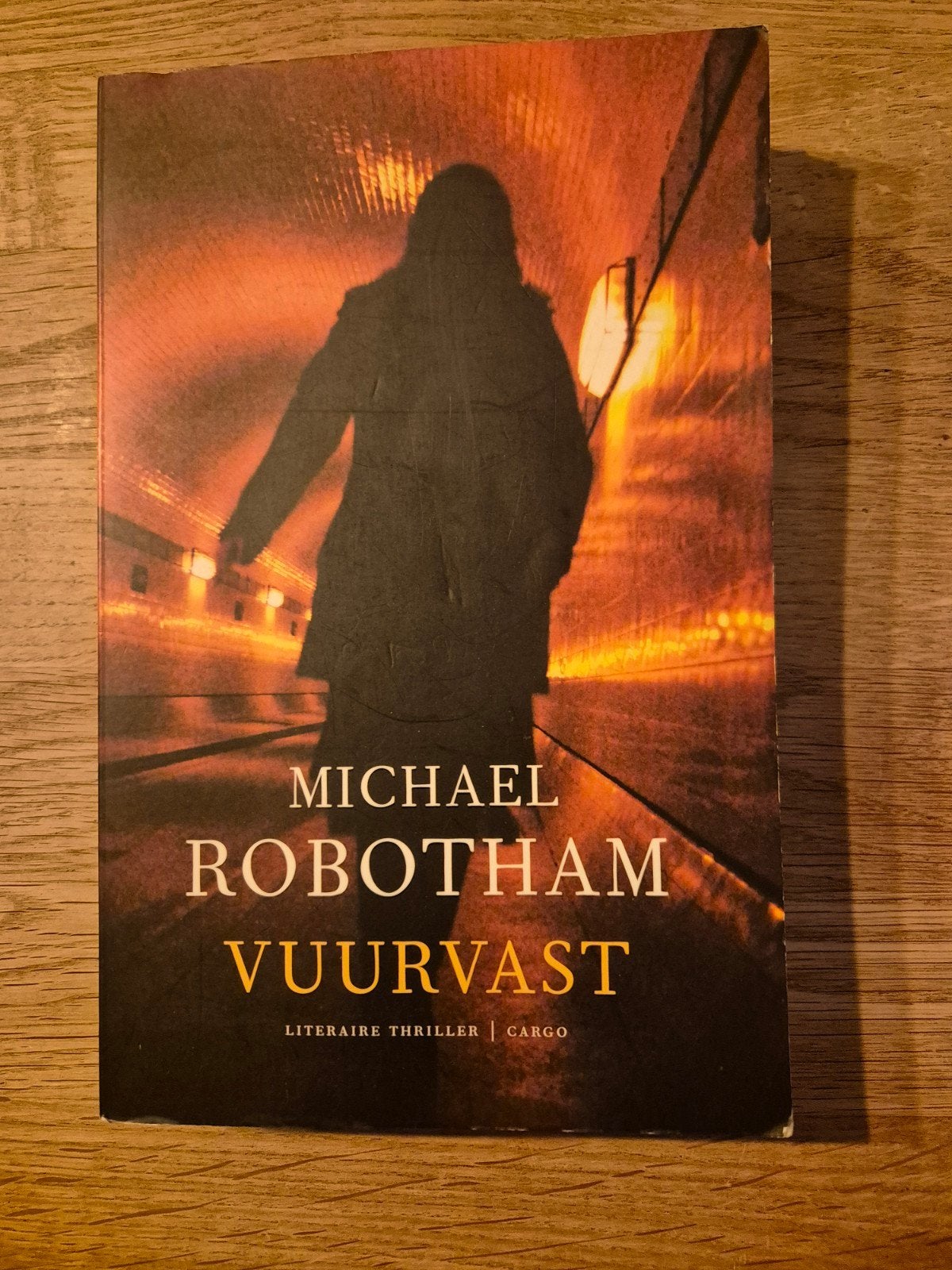 Michael Robotham - Vuurvast (Literaire thriller), Ophalen of Verzenden, Gelezen, Michael Robotham