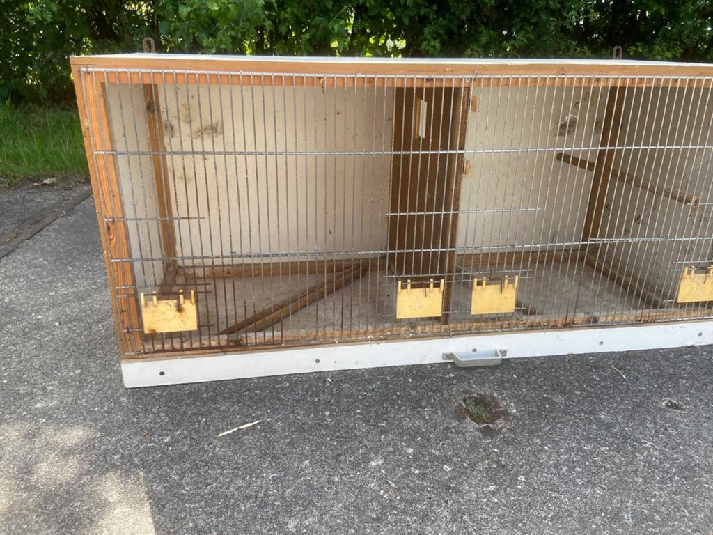 Broedkooi, Dieren en Toebehoren, Vogels | Hokken en Kooien, Ophalen, Hout, Broedkooi of Kweekkooi