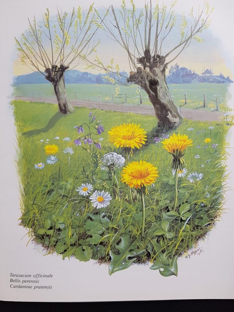 Permin Kalender Bernbloemen, Ophalen of Verzenden, Handborduren, Patroon