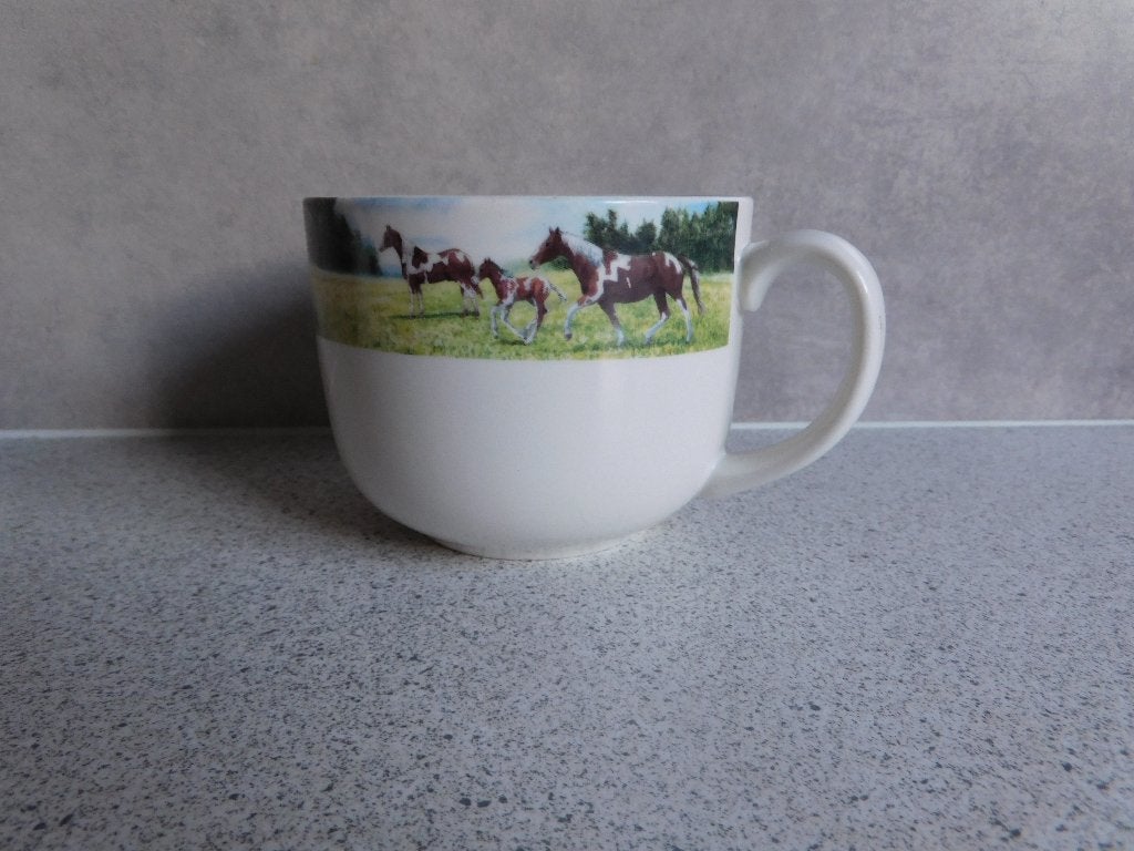 Soepkom 11x8 cm. Samen op Stap Wiebe v.d. Zee, Overige merken, Ophalen of Verzenden, Zo goed als nieuw, Kom(men)