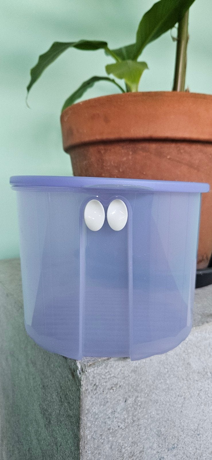 Nieuwe Tupperware Klima container voor groenten en fruit, Bewaardoos, Paars, Nieuw, Ophalen of Verzenden