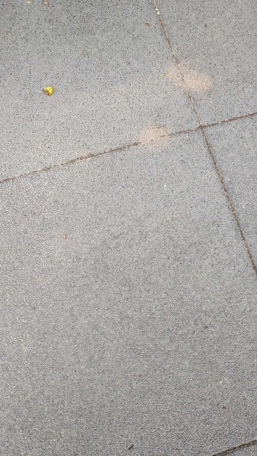 Gratis gebruikte terrastegels antraciet- 60x60 cm, Ophalen, Gebruikt, 60 cm of meer, 10 m² of meer