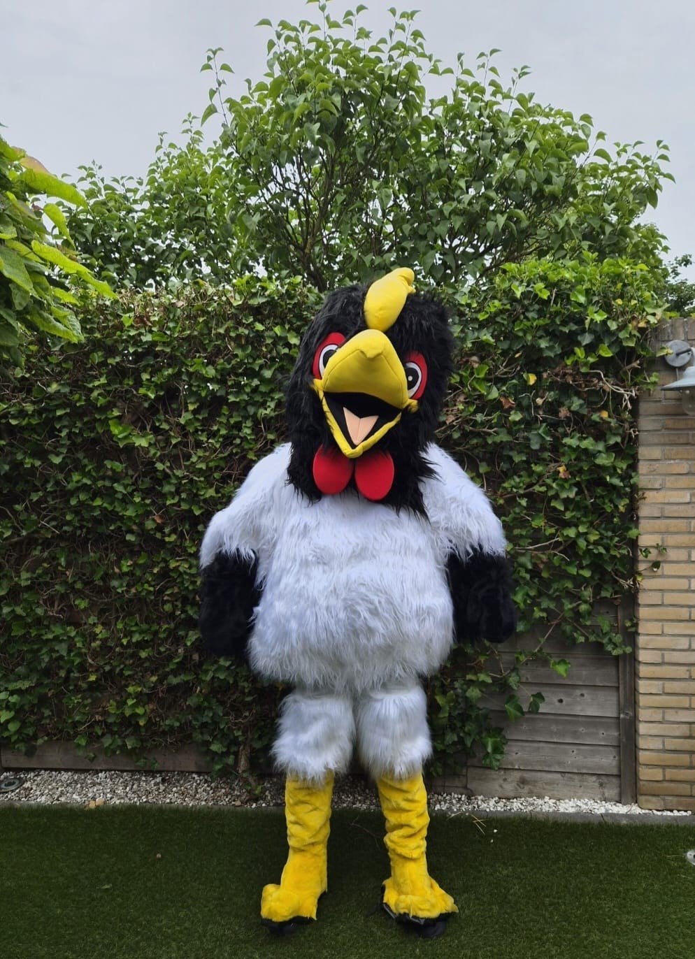 Kippenpak / Kippenkostuum - Carnaval / Themafeest, Kleding | Dames, Carnavalskleding en Feestkleding, Gedragen, Kleding, Overige thema's
