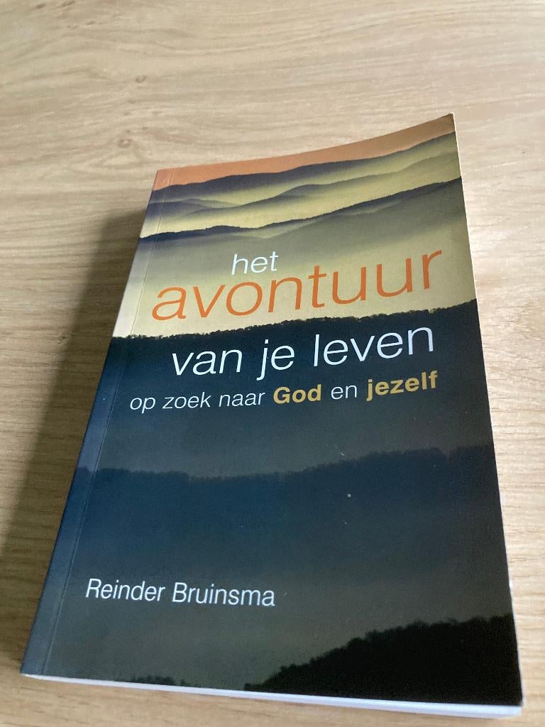 Boek Reinder Bruinsma, Ophalen of Verzenden, Zo goed als nieuw
