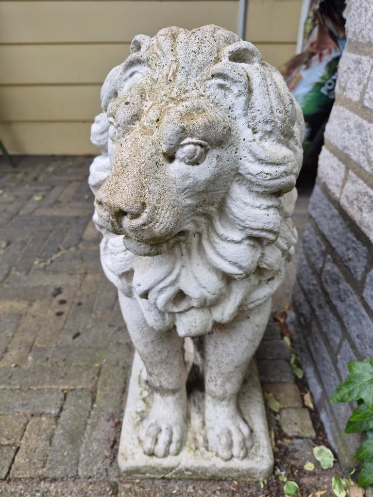 Te koop betonnen leeuwen, Tuin en Terras, Tuinbeelden, Ophalen of Verzenden