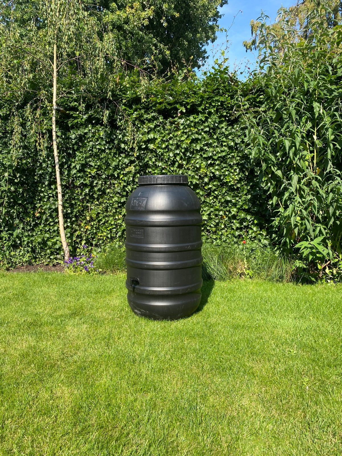 Regenton met nieuw kraantje. 220 liter!, 150 liter of meer, Ophalen, Gebruikt, Met kraantje
