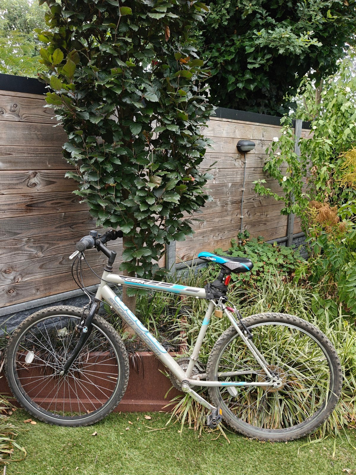 CBR Storm Mountainbike - framemaat 51, Fietsen en Brommers, Fietsen | Mountainbikes en ATB, 49 tot 53 cm, Ophalen, Gebruikt, Overige merken