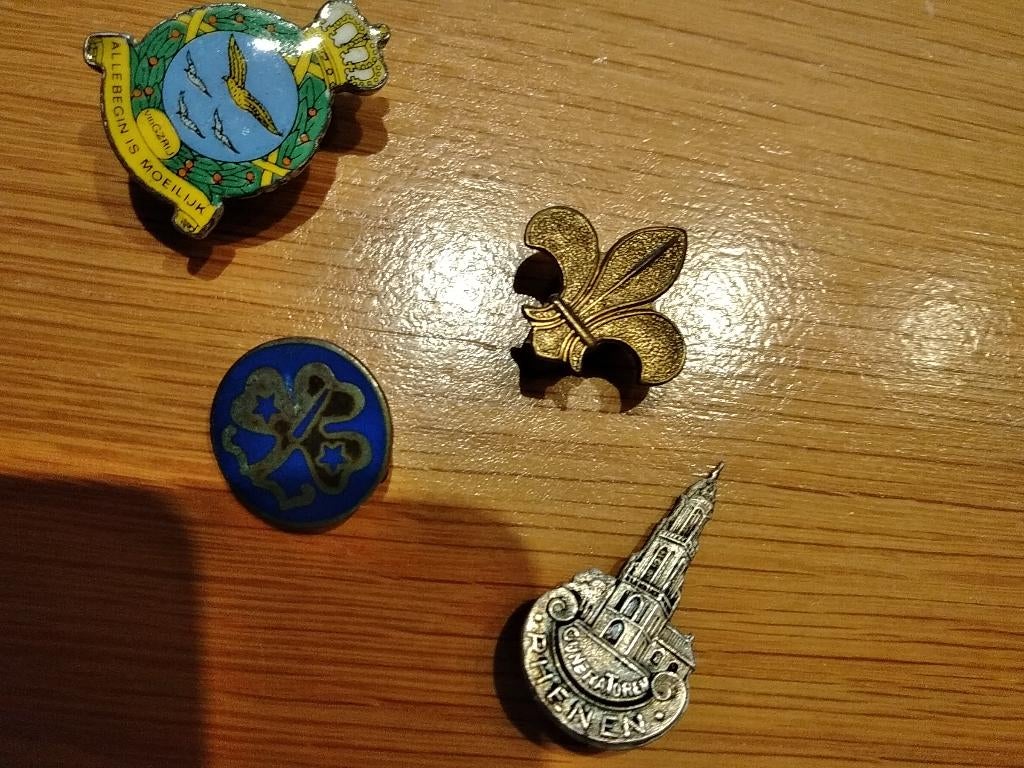 Badges, Ophalen of Verzenden, Overige soorten, Nederland, Embleem of Badge