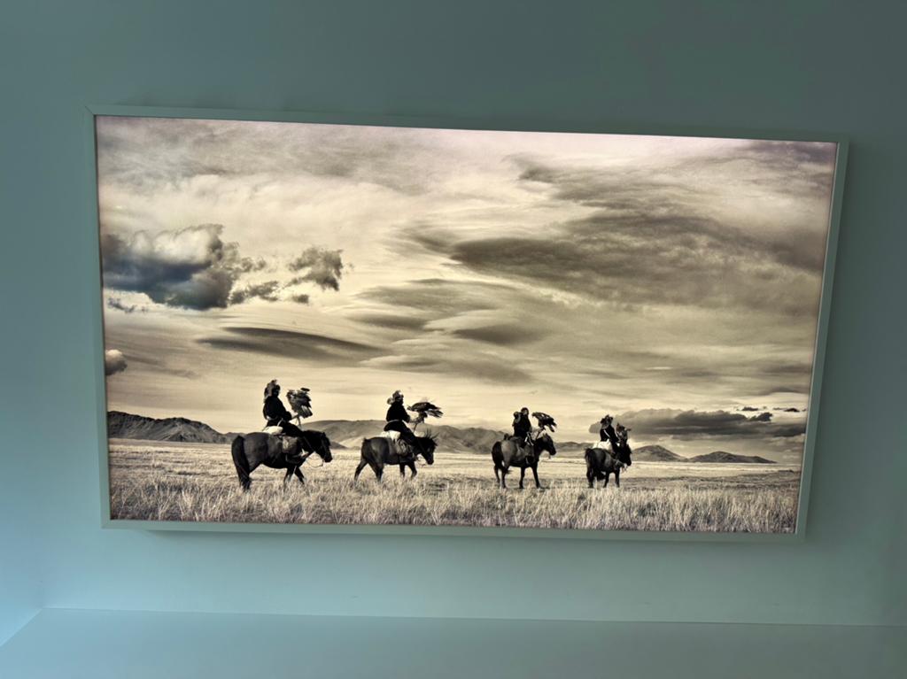 Samsung Frame / 55inch / Wit, Gebruikt, 50 Hz, Ophalen of Verzenden, Samsung