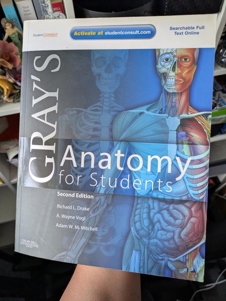 Gray's Anatomy for Students 2e: With STUDENT CONSULT Online, Boeken, Ophalen of Verzenden, Zo goed als nieuw, A. Wayne Vogl
