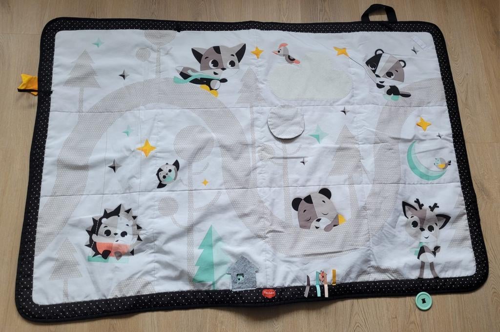 Gratis speelkleed baby/kinderen - Tiny Love, Ophalen, Zo goed als nieuw