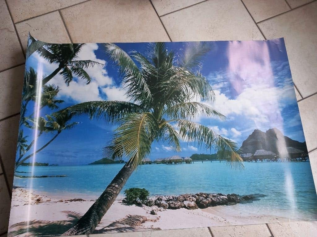 Poster bora bora strand tahiti., Ophalen of Verzenden, Nieuw