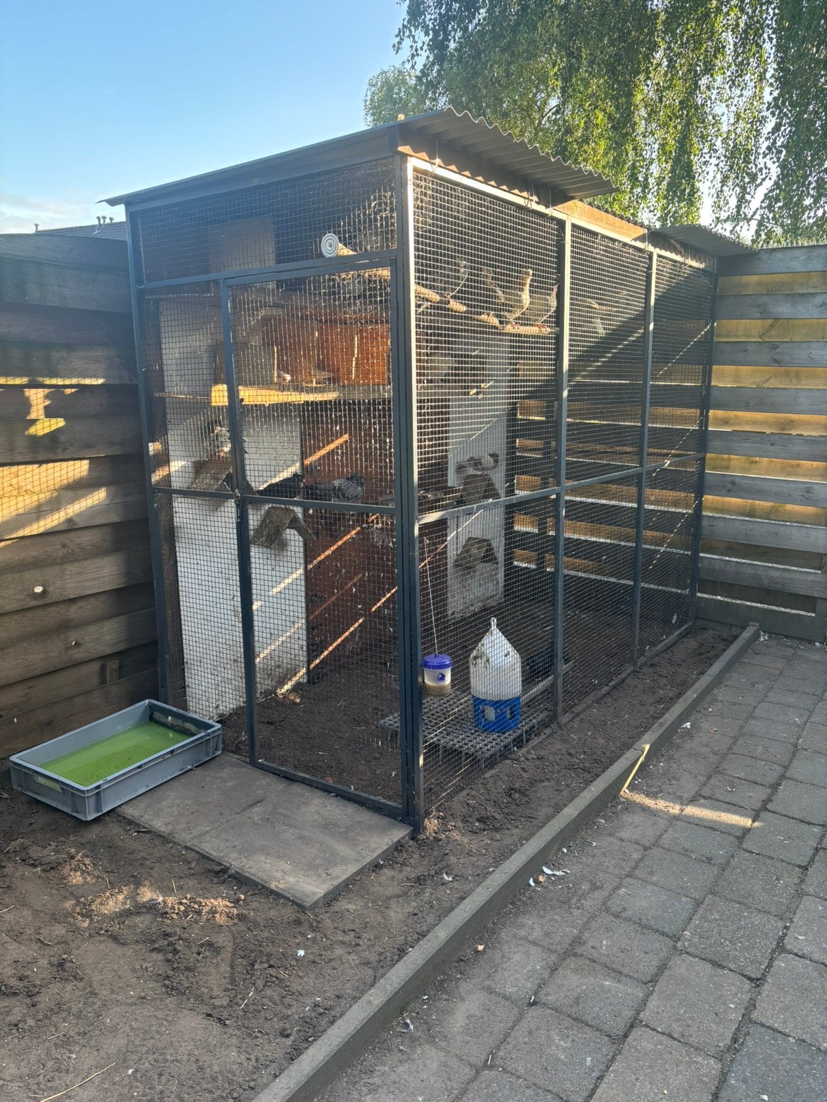 Kattenren/kippenhok volliere met golfdak, Ophalen, Gebruikt, Aluminium, Volière