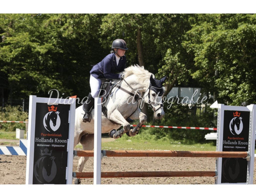 Betrouwbare grote E-pony, Dieren en Toebehoren, Springpony, L, Merrie, E pony (1.48m - 1.57m)