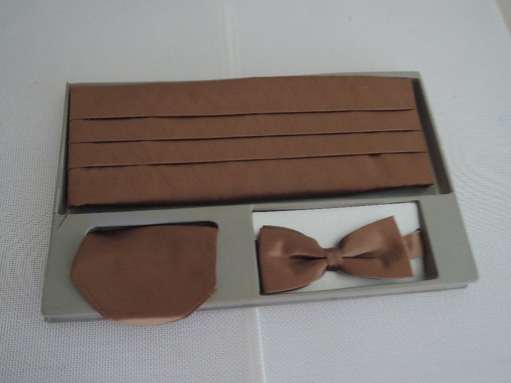 Nieuwe cumberband met vlinderstrikje en pochet, Kleding | Heren, Stropdassen, Ophalen of Verzenden, Nieuw, Beige