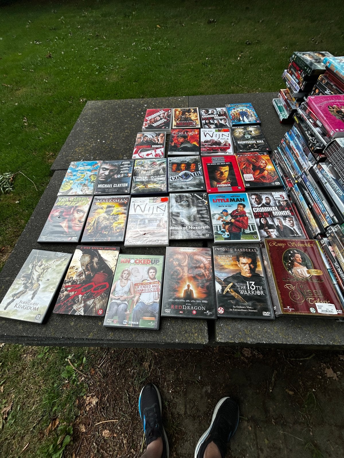 Grote collectie diverse dvd's - Doe een leuk bod!, Ophalen, Nederlands, Vanaf 12 jaar, Inclusief doosje