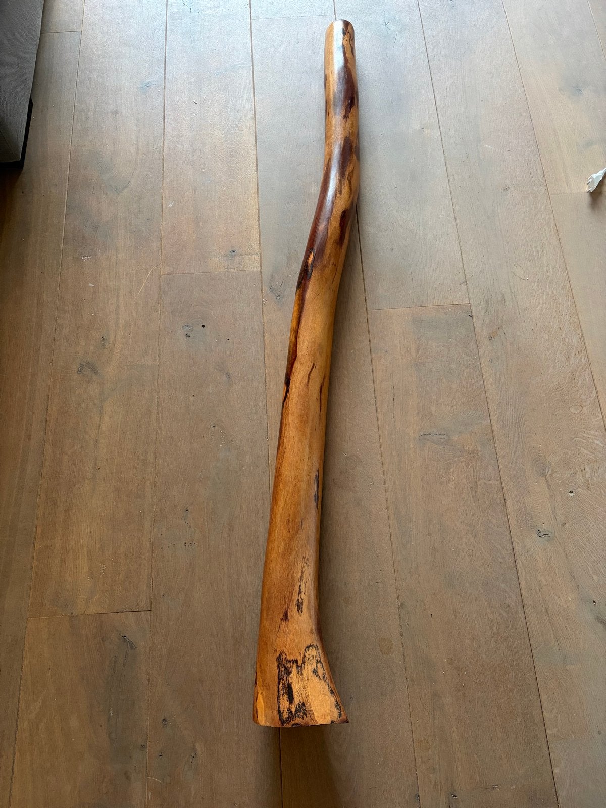 Eucalyptus Didgeridoo - Handgemaakt Australisch Muziekinstru, Ophalen, Gebruikt