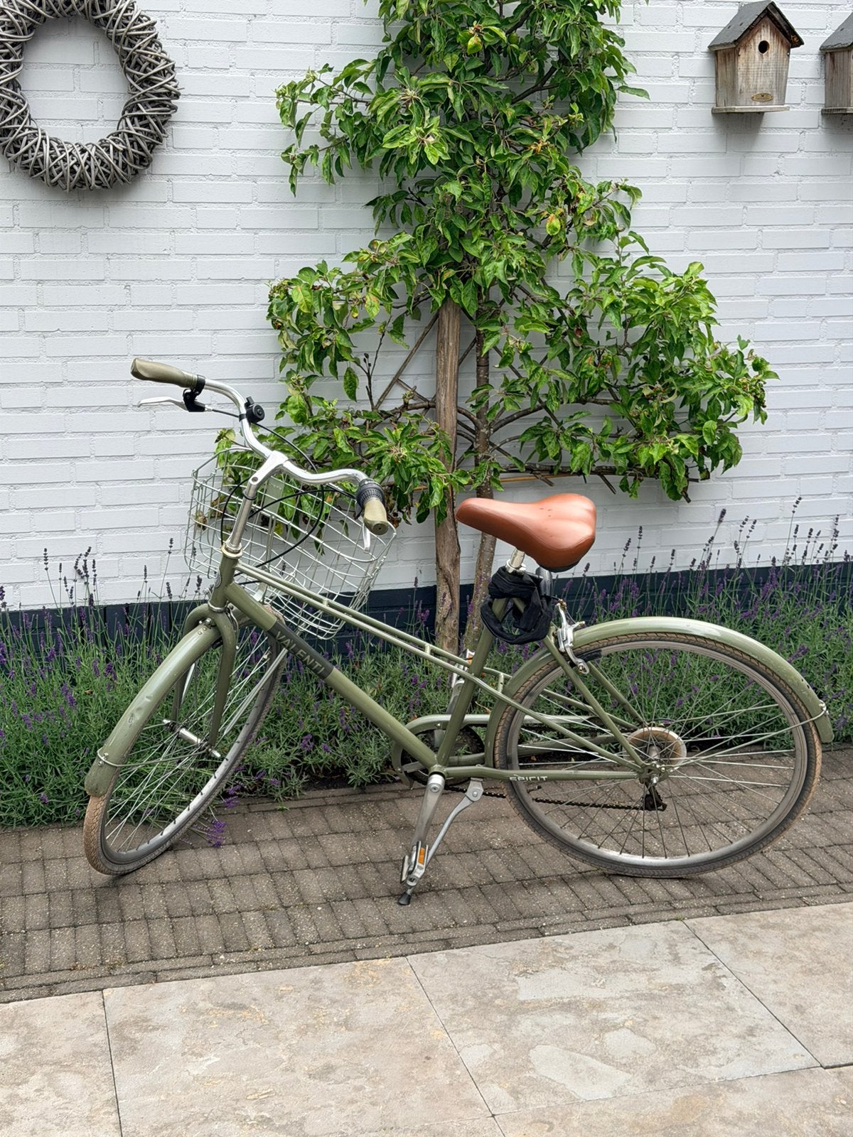 Valenti dames stadsfiets groen met mandje, Fietsen en Brommers, Fietsen | Oldtimers, Ophalen