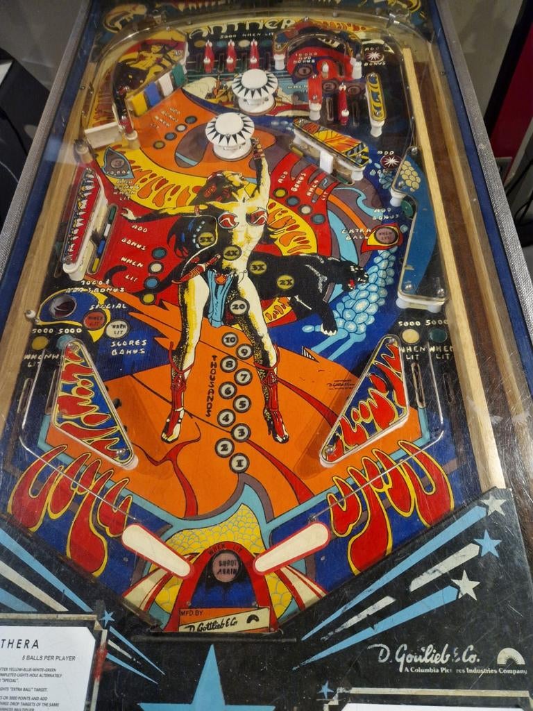 Panthera flipperkast 1980, Verzamelen, Automaten | Flipperkasten, Ophalen, Gebruikt, Flipperkast, Gottlieb