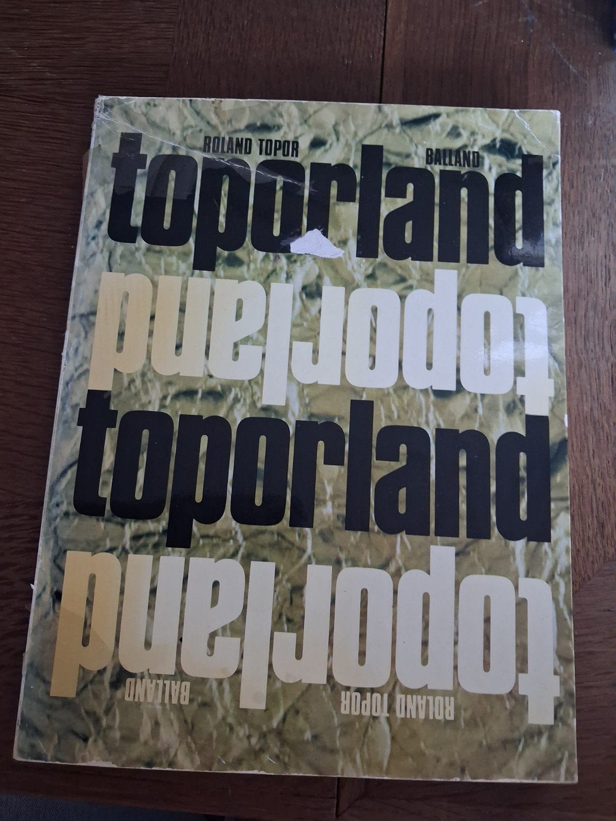 Toporland - Roland Topor - Balland - Geïllustreerd boek, Ophalen of Verzenden, Gelezen, Roland Topor, Europa overig