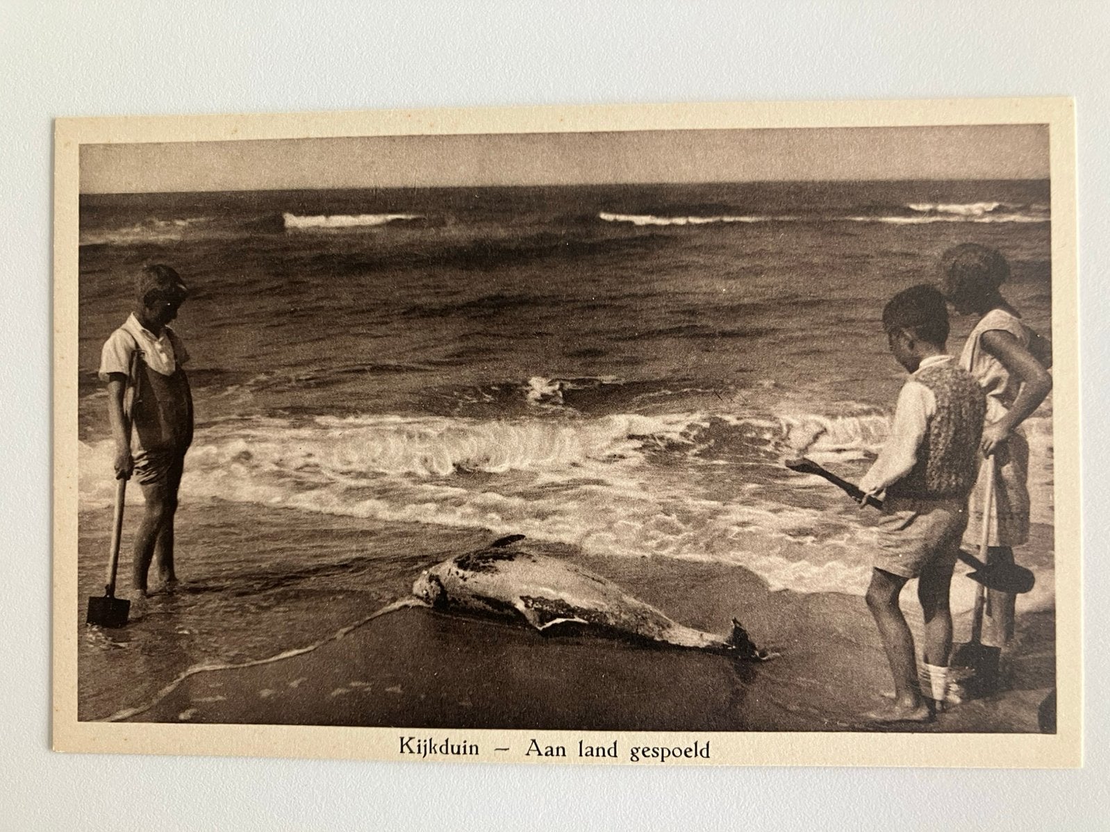 Den Haag, Kijkduin, Aan land gespoeld, Ophalen of Verzenden, Voor 1920, Zuid-Holland