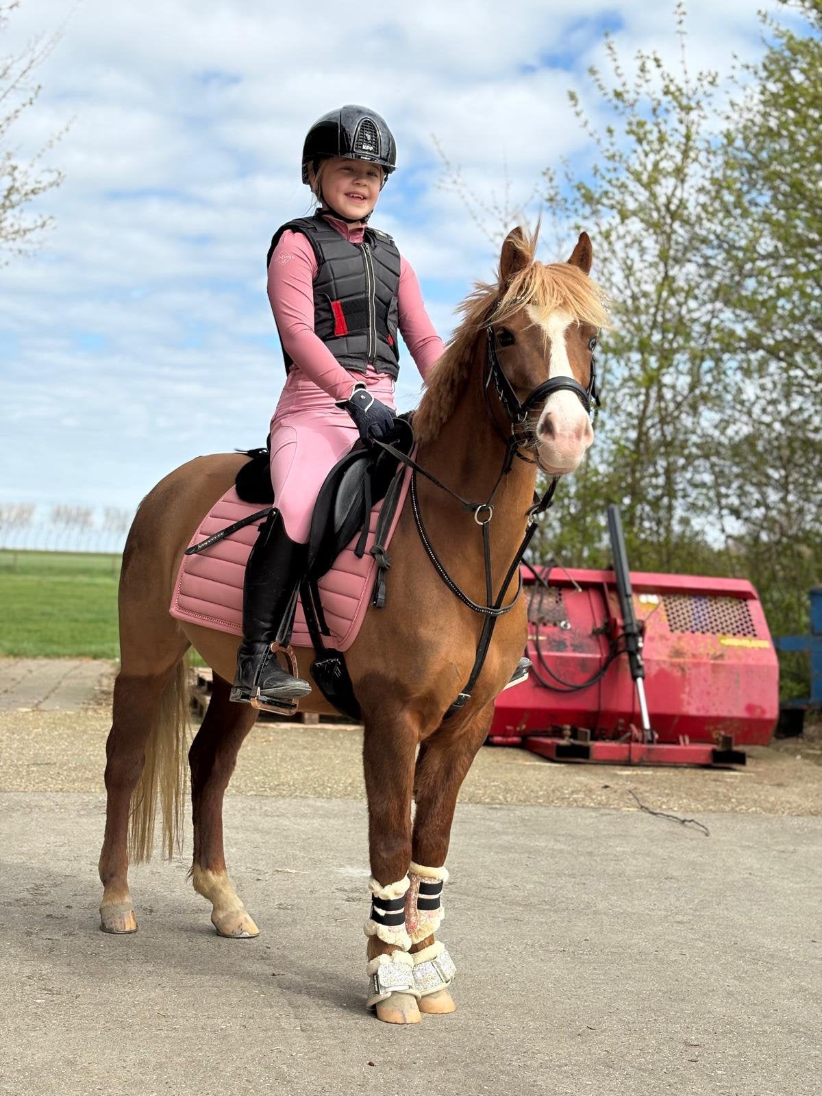 Leuke welsh te koop, Merrie, 3 tot 6 jaar, B pony (1.17m tot 1.27m), Recreatiepony
