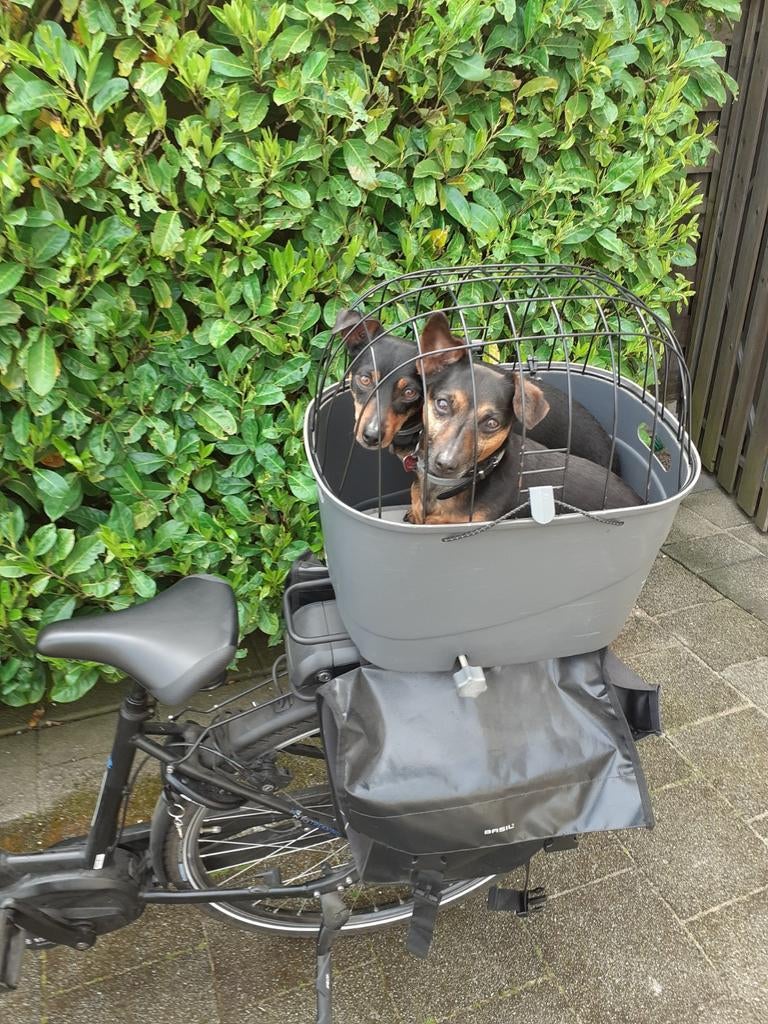 Hondenfietsmand (nieuw,overcompleet)voor achterop, Dieren en Toebehoren, Ophalen of Verzenden, Nieuw