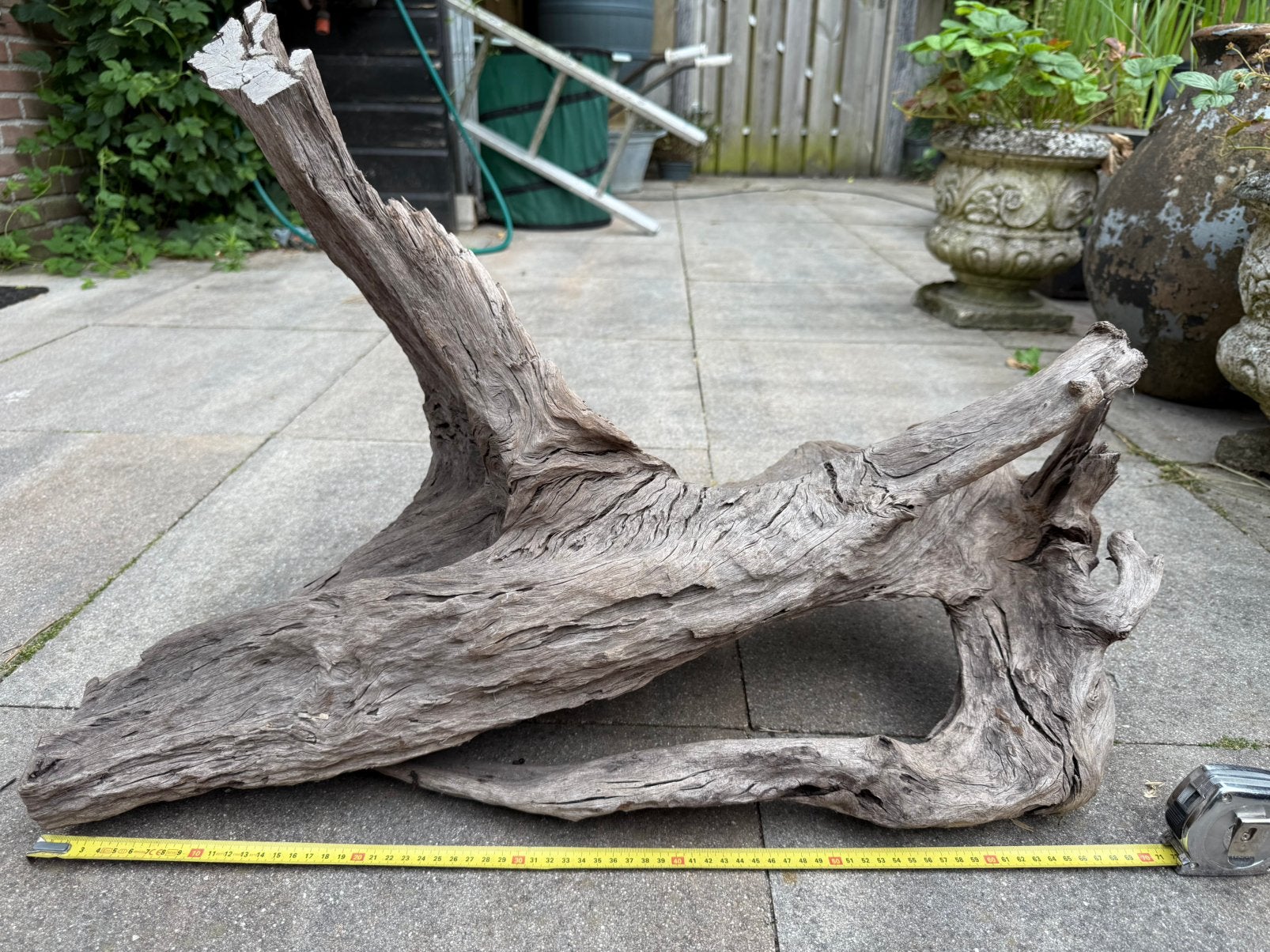 Aquarium hout, driftwood, sinking wood, Dieren en Toebehoren, Vissen | Aquaria en Toebehoren, Ophalen, Zo goed als nieuw, Plant(en), Steen of Hout