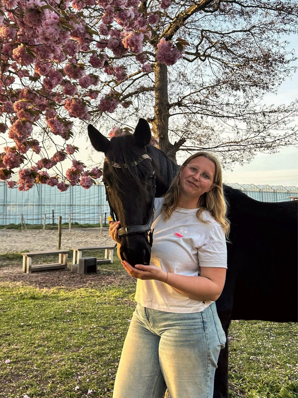 WEEKEND!! Stalhulp aangeboden, Ophalen, Nieuw, Overige typen