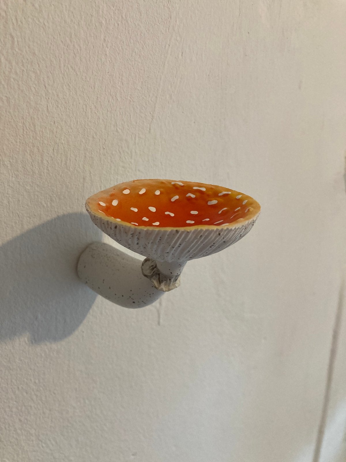 Paddenstoel wandpaddestoel decoratie, Ophalen of Verzenden