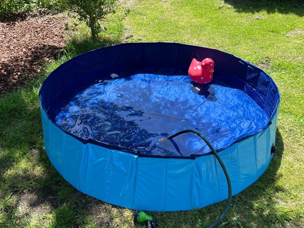 Hondenzwembad 120 x 30, Dieren en Toebehoren, Ophalen of Verzenden, Gebruikt, Overige typen