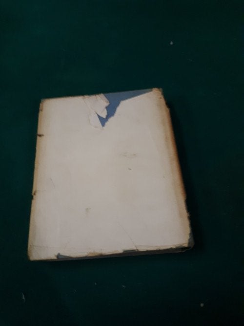 boek de kinderen van fatima die maria zagen, Ophalen of Verzenden