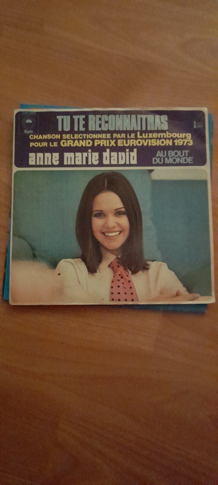 Tu te reconnaitras  Anne Marie David, Ophalen of Verzenden, Zo goed als nieuw, Pop, Overige typen